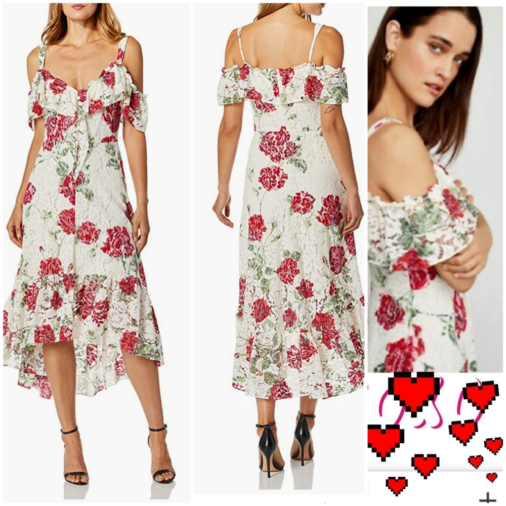 BCBGMAXAZRIALa Rosa Lace Dress